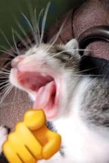 1705802630306106