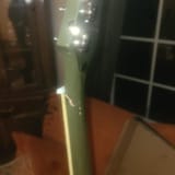 new-firebird-flew-in-with-a-broken-neck-v0-lbgv8xi7d6sc1
