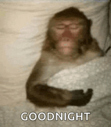 sleep-zzzzz