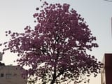 IMG_20250722_180303541
