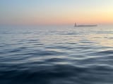 IMG_6846