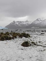 IMG_4291