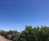fourinjuns