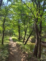 IMG_20250608_154939382_HDR~2