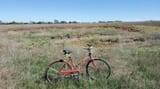 cruiser-field