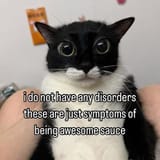 1749234647887841