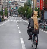 inu