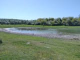IMG_20250504_105628872 (1)