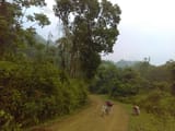 IMAG1055