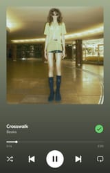Screenshot_2025-07-17-09-30-28-363_com.spotify.music