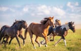 istockphoto-1019461046-612x612