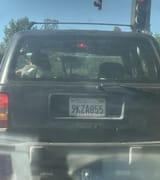 Thread 1418202 OP Image
