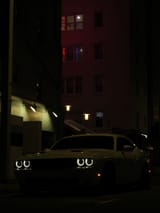 DSCN3699