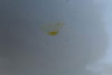 IMG_20250607_141036_1