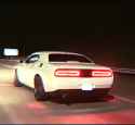 chally cruisin_thumb.jpg