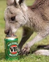 roo