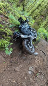IMG_20250519_081233