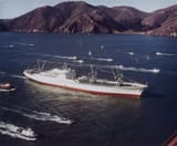 NSsavannah-1962