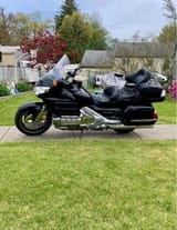 Goldwing with armrests