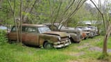 20180425-153557-largejpg