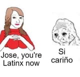 Si