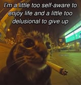 1730367232381