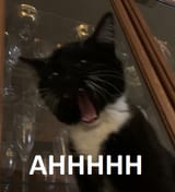 AHHHHH