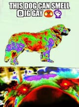 DqoJcYJW4AAZ7dV