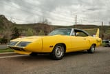 Superbird_Yellow