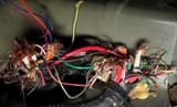 Rats-News-Pic-to-Use