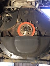 1g