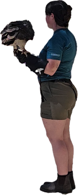 Cutie with a bootie