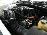 DSCN3596