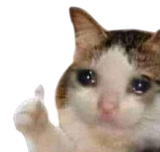 1738331926025613