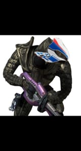 S1000RRbiter