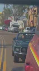 Mustang Boomer_thumb.jpg