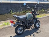 scoot