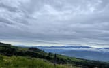 IMG_2539