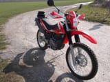 Steven Alp 4.0 (1) (1600)