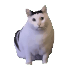 1754303338949431