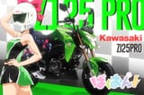 kawasaki