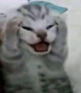1683147813696404