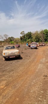cars_in_clearing