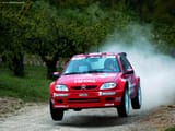 citroen-saxo-rallye_7b36a