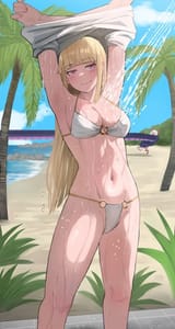 claires-beach-shower-original-v0-1n132dgmu05f1