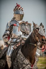 ride armor