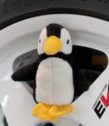 Sarah-n-Tuned Penguin