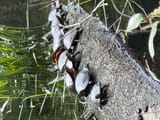 IMG_1890