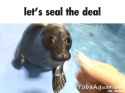let&#039;s-seal-the-deal-dap-me-up_thumb.jpg