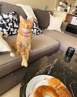 IMG_20250619_015805_340